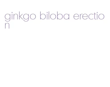 ginkgo biloba erection