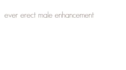 ever erect male enhancement