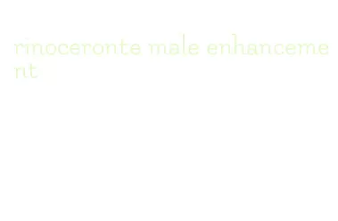 rinoceronte male enhancement