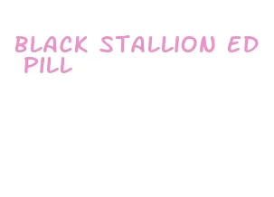 black stallion ed pill