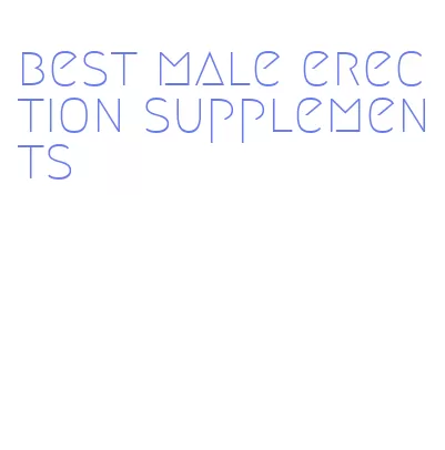 best male erection supplements