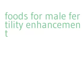 foods for male fertility enhancement