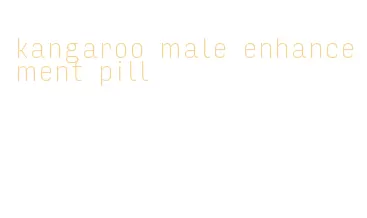 kangaroo male enhancement pill