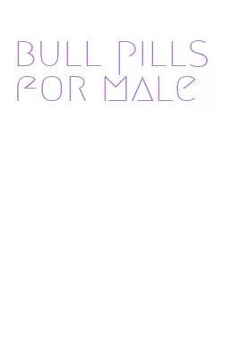 bull pills for male