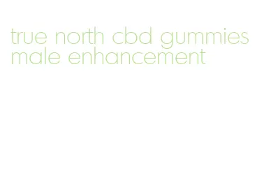 true north cbd gummies male enhancement