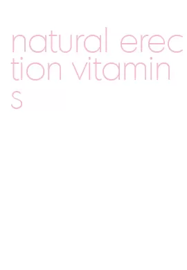 natural erection vitamins