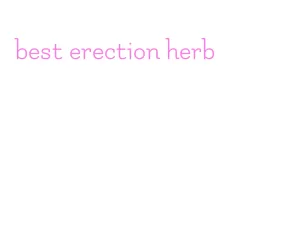 best erection herb