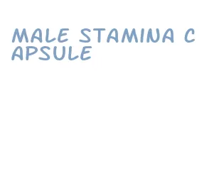 male stamina capsule