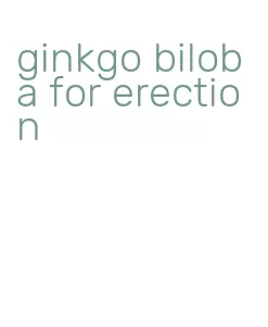 ginkgo biloba for erection