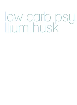 low carb psyllium husk