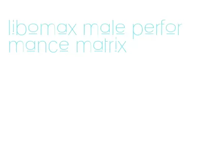 libomax male performance matrix