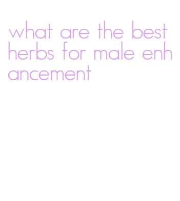 what are the best herbs for male enhancement