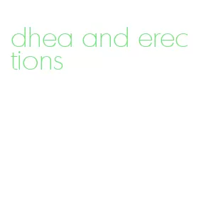 dhea and erections