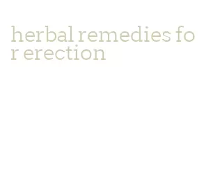 herbal remedies for erection