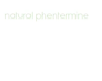 natural phentermine