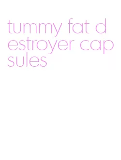 tummy fat destroyer capsules