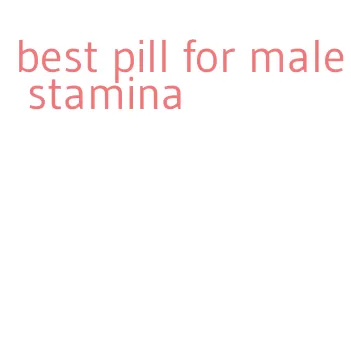 best pill for male stamina