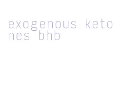 exogenous ketones bhb