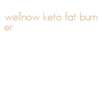 wellnow keto fat burner