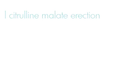 l citrulline malate erection