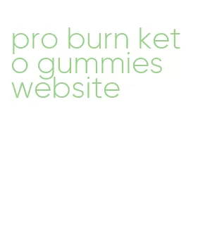 pro burn keto gummies website