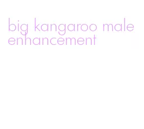big kangaroo male enhancement