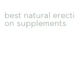 best natural erection supplements