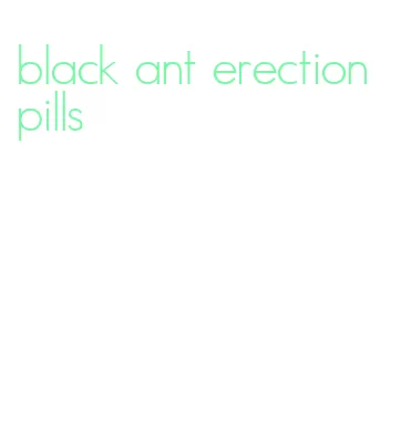 black ant erection pills