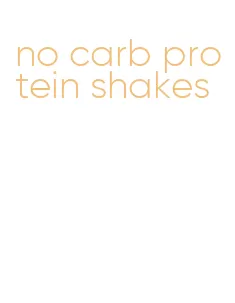 no carb protein shakes