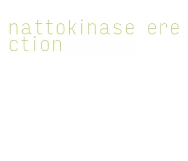 nattokinase erection