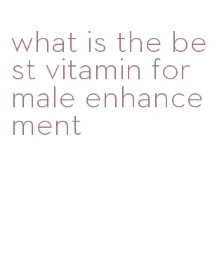 what is the best vitamin for male enhancement