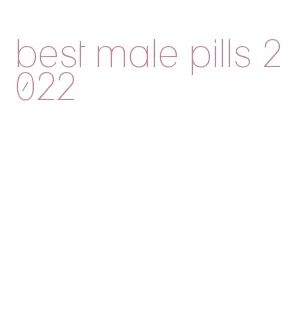 best male pills 2022