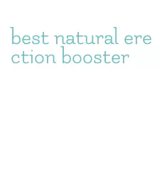 best natural erection booster