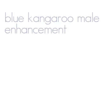 blue kangaroo male enhancement