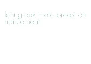 fenugreek male breast enhancement