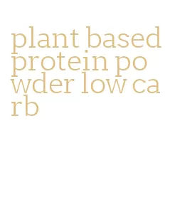 plant based protein powder low carb