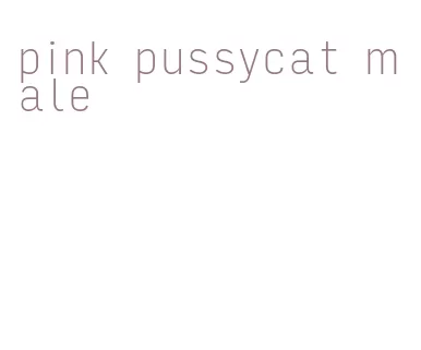 pink pussycat male