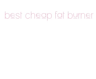best cheap fat burner