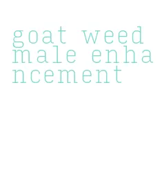 goat weed male enhancement