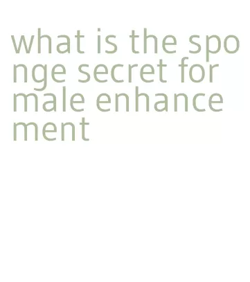 what is the sponge secret for male enhancement