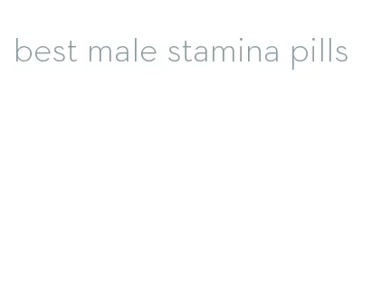 best male stamina pills