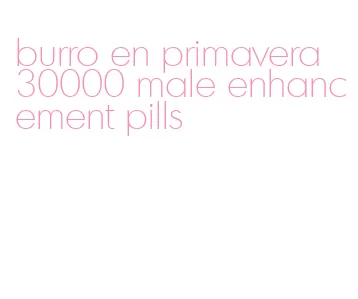 burro en primavera 30000 male enhancement pills