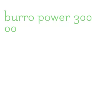 burro power 30000