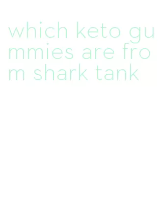 which keto gummies are from shark tank