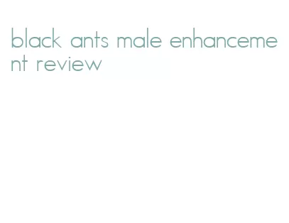 black ants male enhancement review