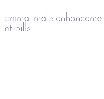 animal male enhancement pills