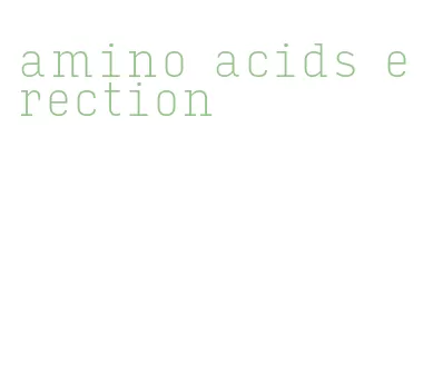 amino acids erection