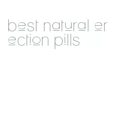 best natural erection pills