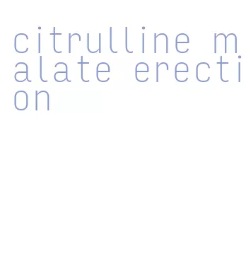 citrulline malate erection