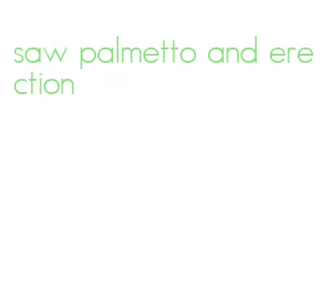 saw palmetto and erection